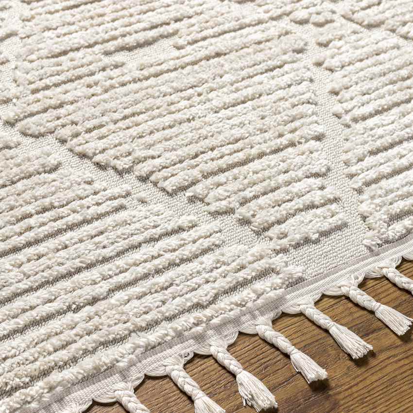 Tymbou Global Beige Area Rug