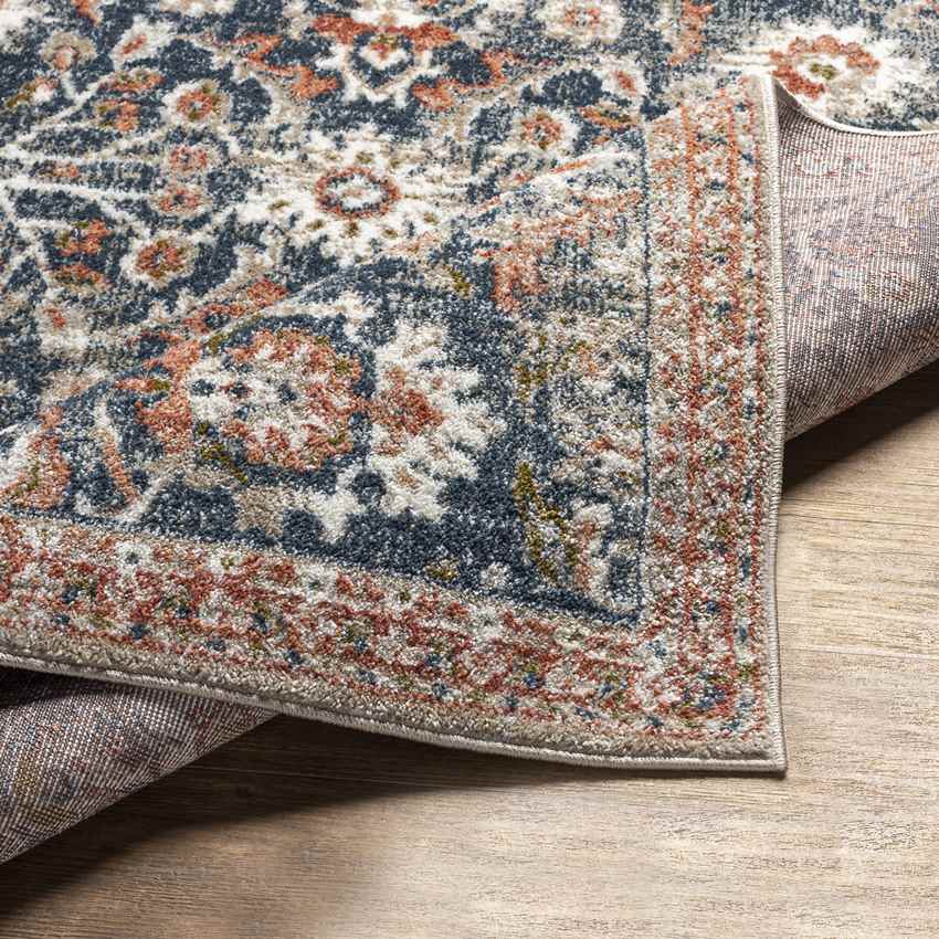 Lacona Traditional Dark Blue Area Rug