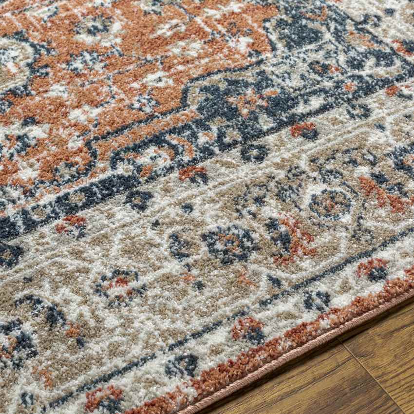 Ladora Traditional Burnt Orange Area Rug