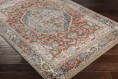 Lake Mills Traditional Burgundy Area Rug