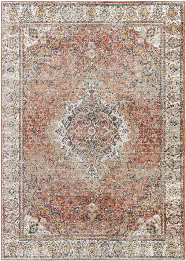 Lake Park Traditional Burnt Orange Area Rug