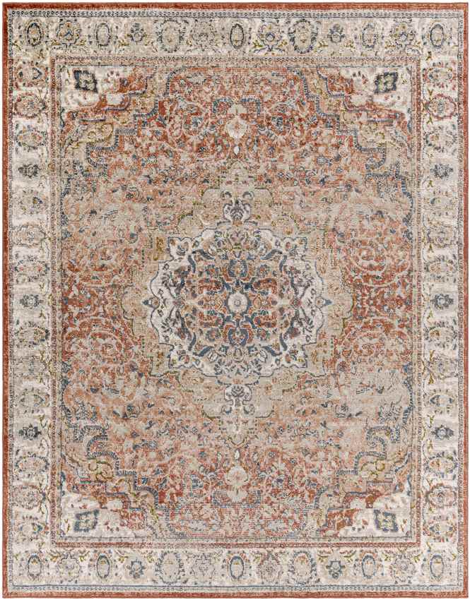Lake Park Traditional Burnt Orange Area Rug