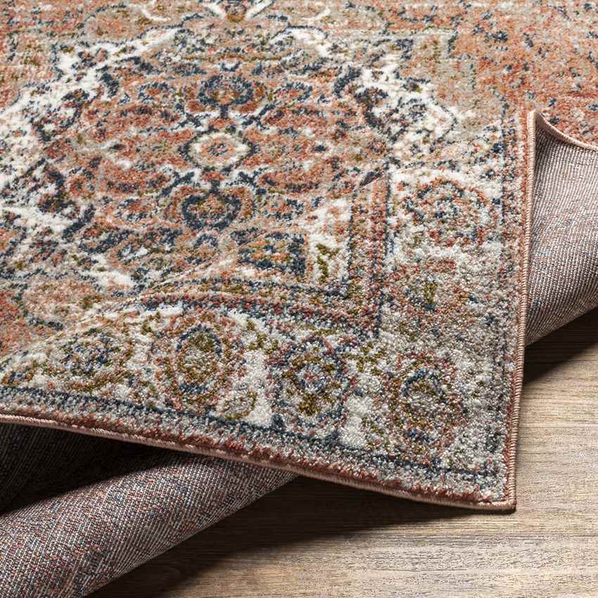 Lake Park Traditional Burnt Orange Area Rug