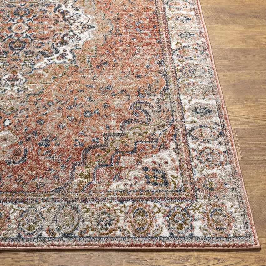 Lake Park Traditional Burnt Orange Area Rug