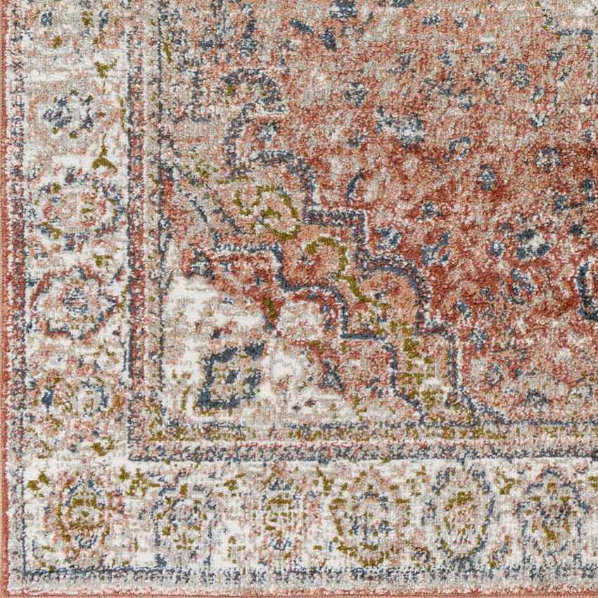 Lake Park Traditional Burnt Orange Area Rug