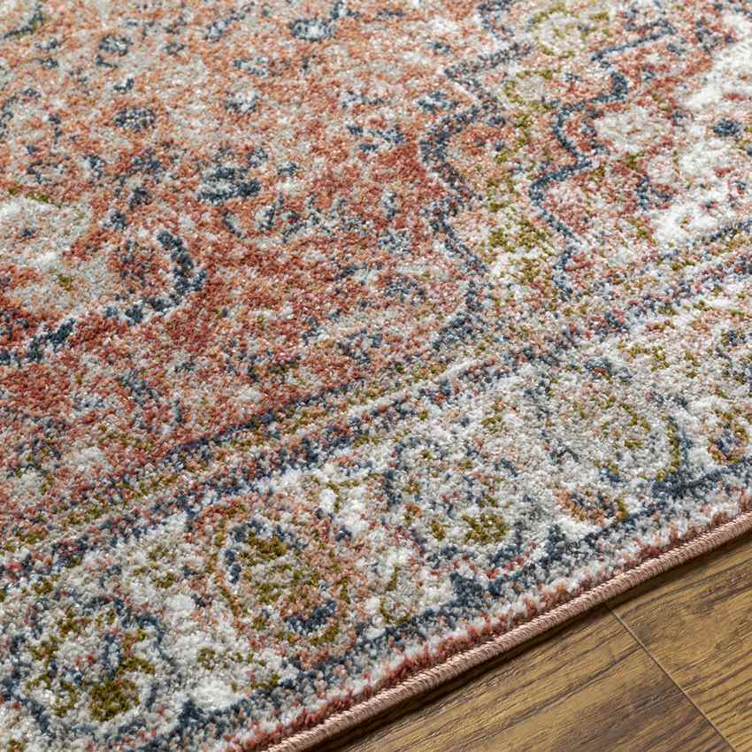 Lake Park Traditional Burnt Orange Area Rug