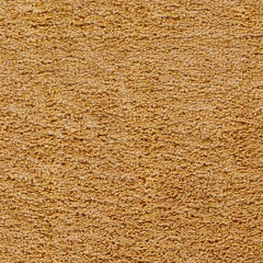 Vere Modern Orange Area Rug