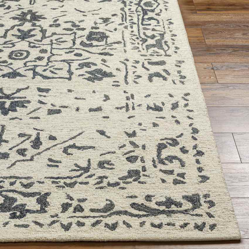 Polis Traditional Beige Area Rug