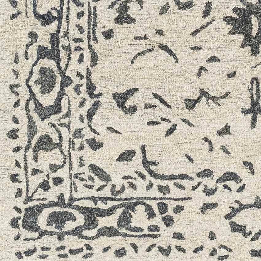 Polis Traditional Beige Area Rug