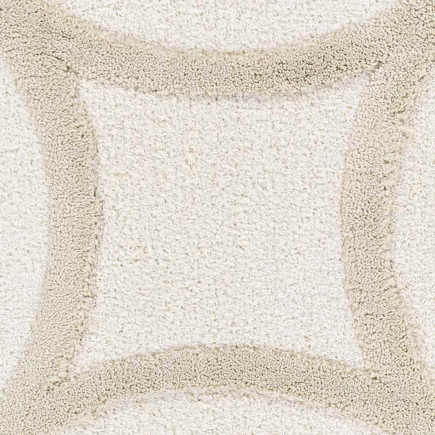 Vasillios Traditional Ivory Area Rug