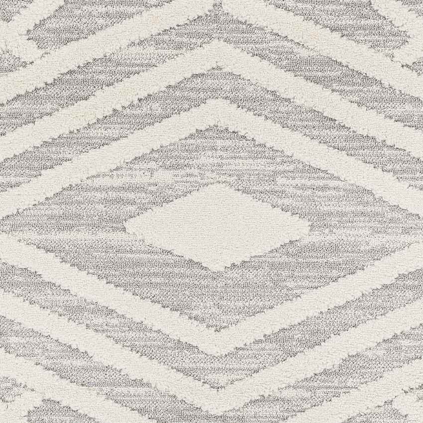 Pegeia Global Light Gray Area Rug