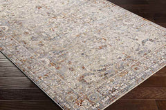 Kioneli Traditional Taupe Area Rug