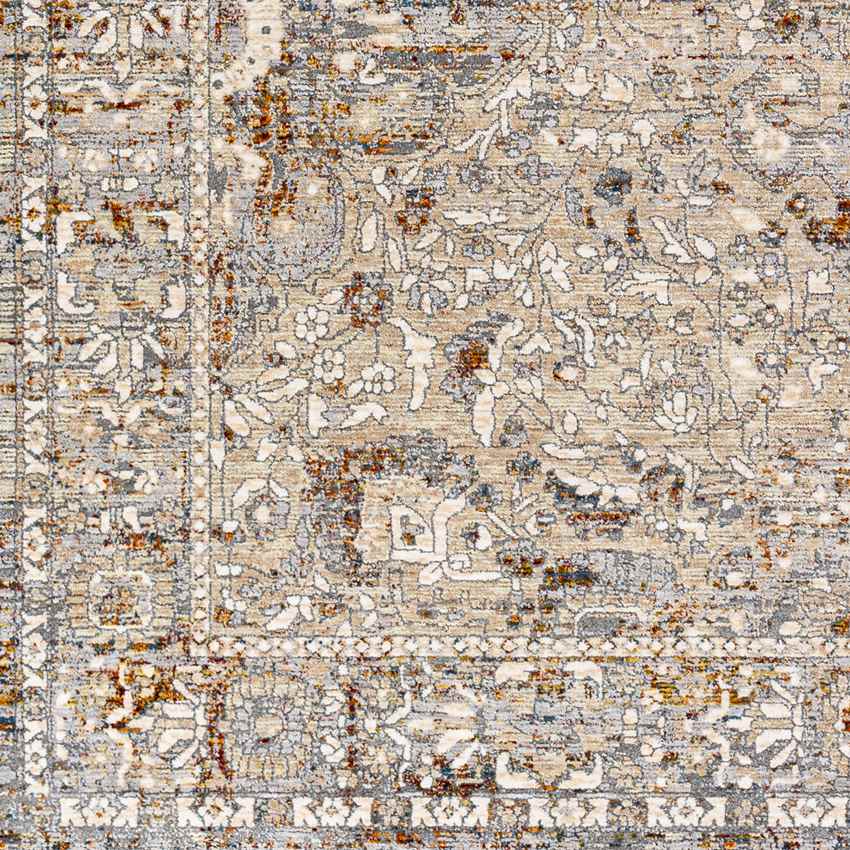 Kioneli Traditional Taupe Area Rug