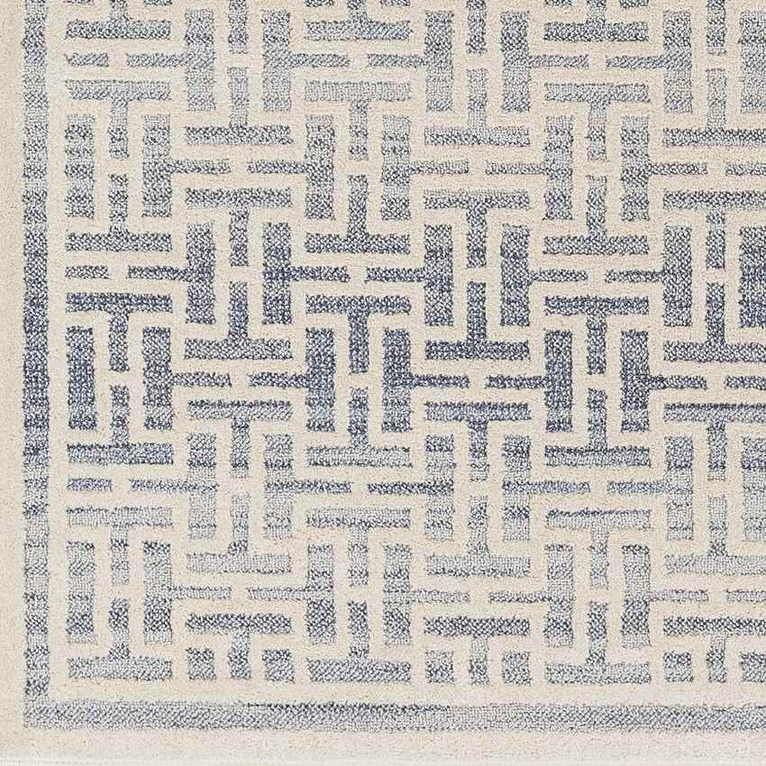Asomatos Modern Navy Area Rug