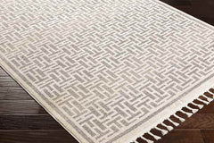 Asomatos Modern Gray Area Rug
