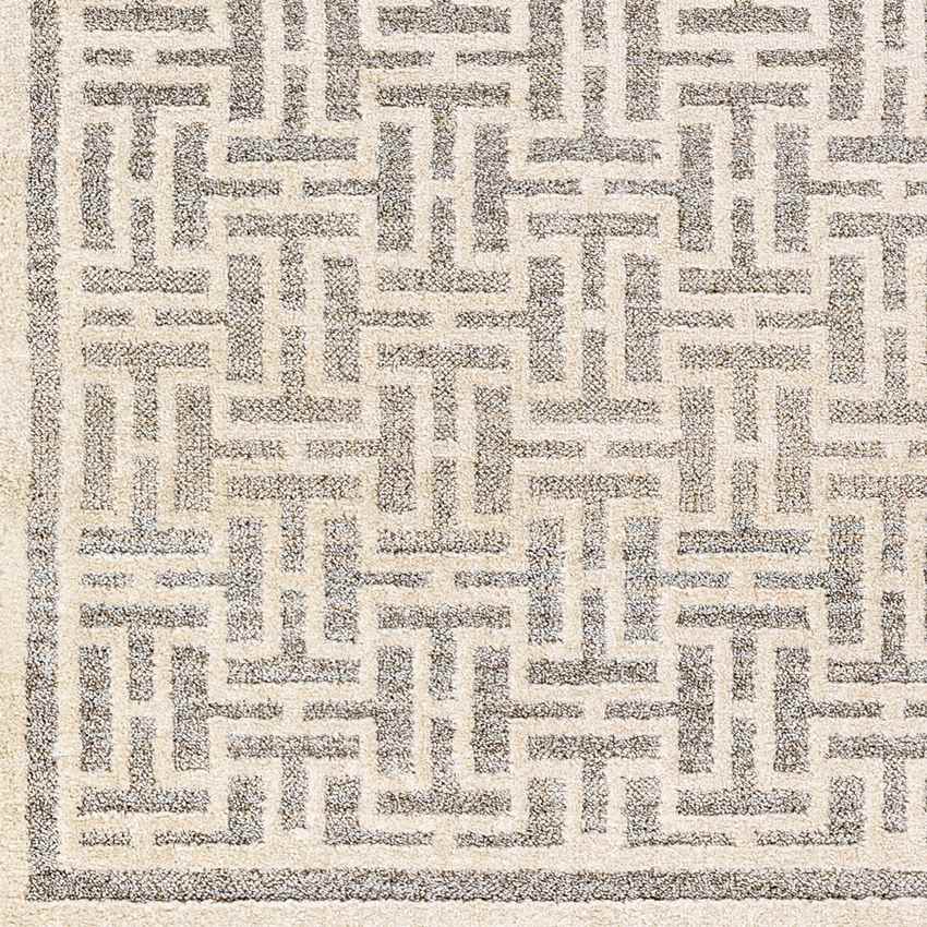 Asomatos Modern Gray Area Rug