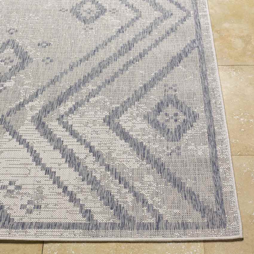 Janesville Global Navy Area Rug