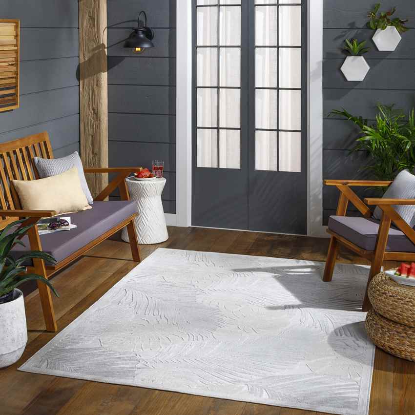 Esbon Coastal Light Gray Area Rug