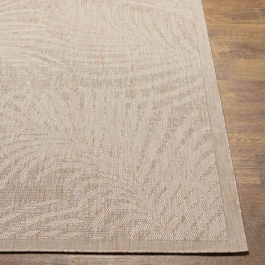 Algona Coastal Beige Area Rug