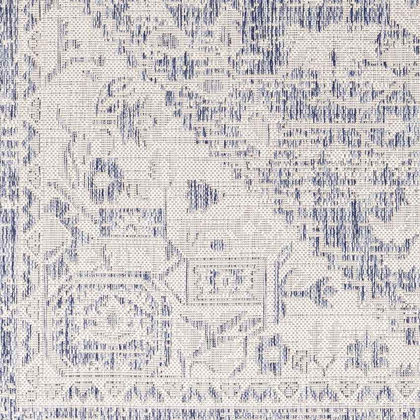 Alvord Traditional Ivory Area Rug