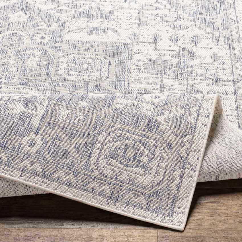 Alvord Traditional Denim Area Rug