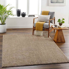 Richlawn Modern Brown Washable Area Rug