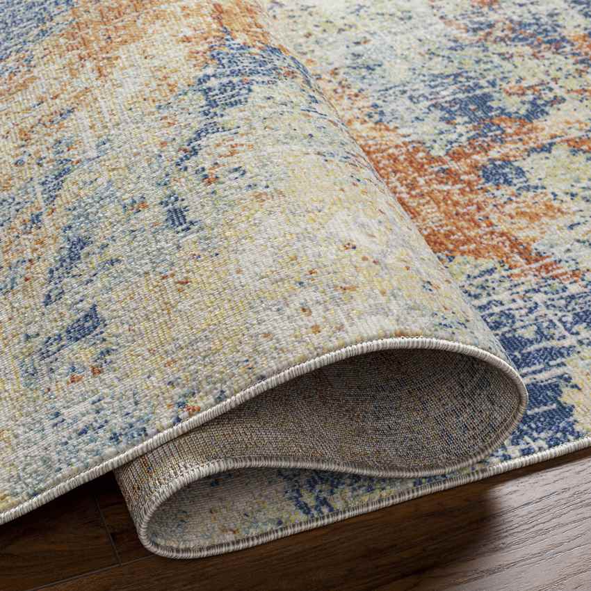 Rippey Coastal Burnt Orange Area Rug