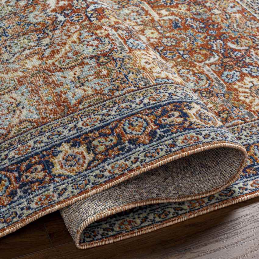 Robertson Coastal Burgundy Area Rug