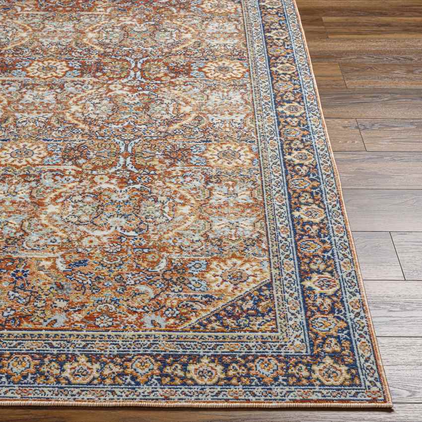Robertson Coastal Burgundy Area Rug