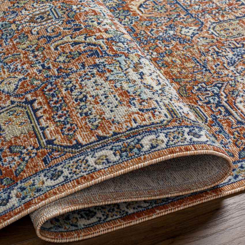 Rodney Coastal Burgundy Area Rug