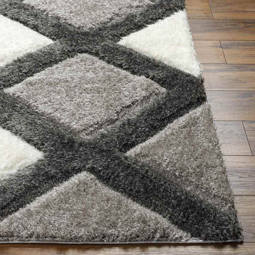 Ruthven Modern Ivory/Medium Gray Area Rug