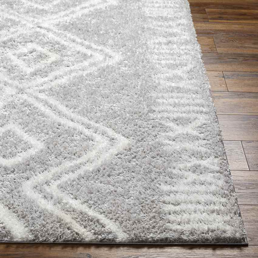 Brayton Global Gray Area Rug