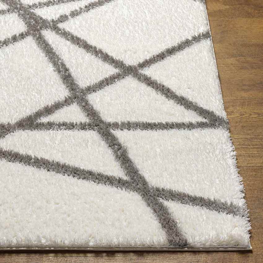 Briarwood Modern Ivory Area Rug