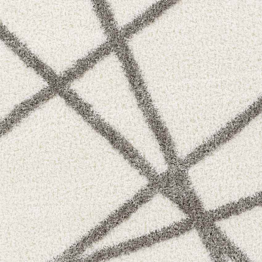 Briarwood Modern Ivory Area Rug