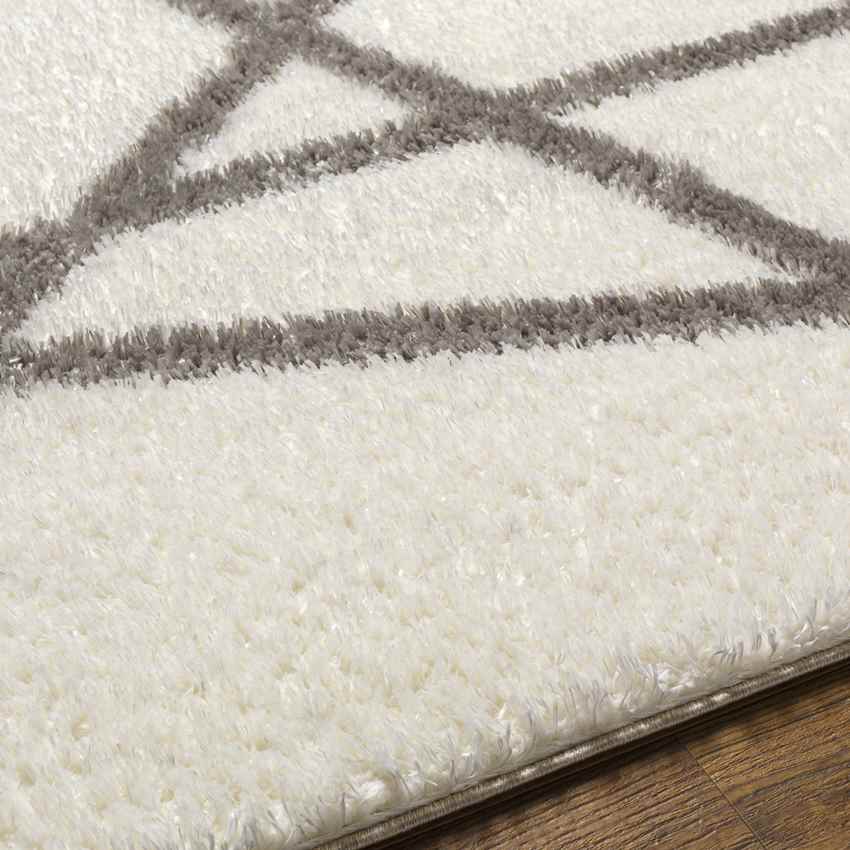 Briarwood Modern Ivory Area Rug
