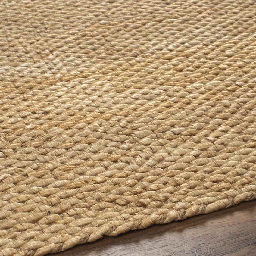 Clemons Cottage Burnt Orange Area Rug