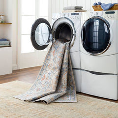 Ellinwood Traditional Oatmeal/Rust Washable Area Rug