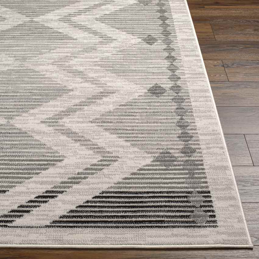 Burdett Global Charcoal Area Rug