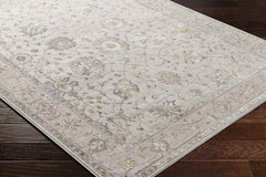 Falls Traditional Ivory Area Rug
