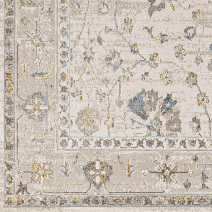 Falls Traditional Ivory Area Rug