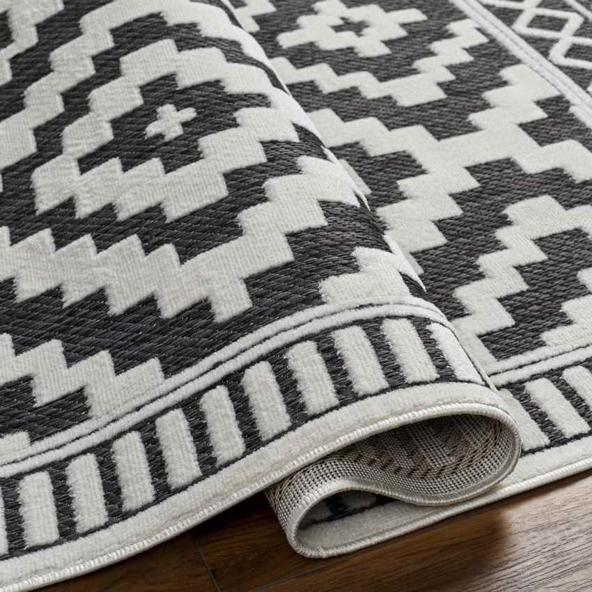 Bushong Modern Black Area Rug