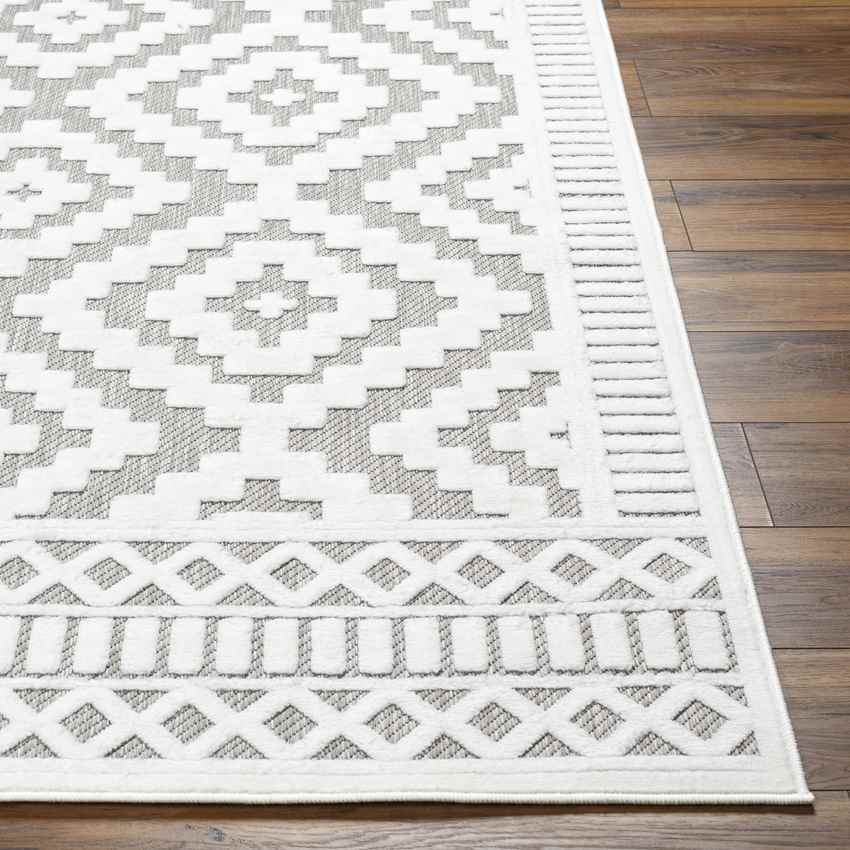 Bushong Modern Gray Area Rug