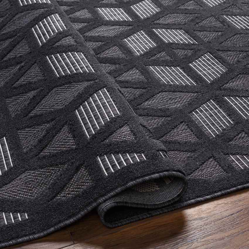 Bushton Modern Black Area Rug
