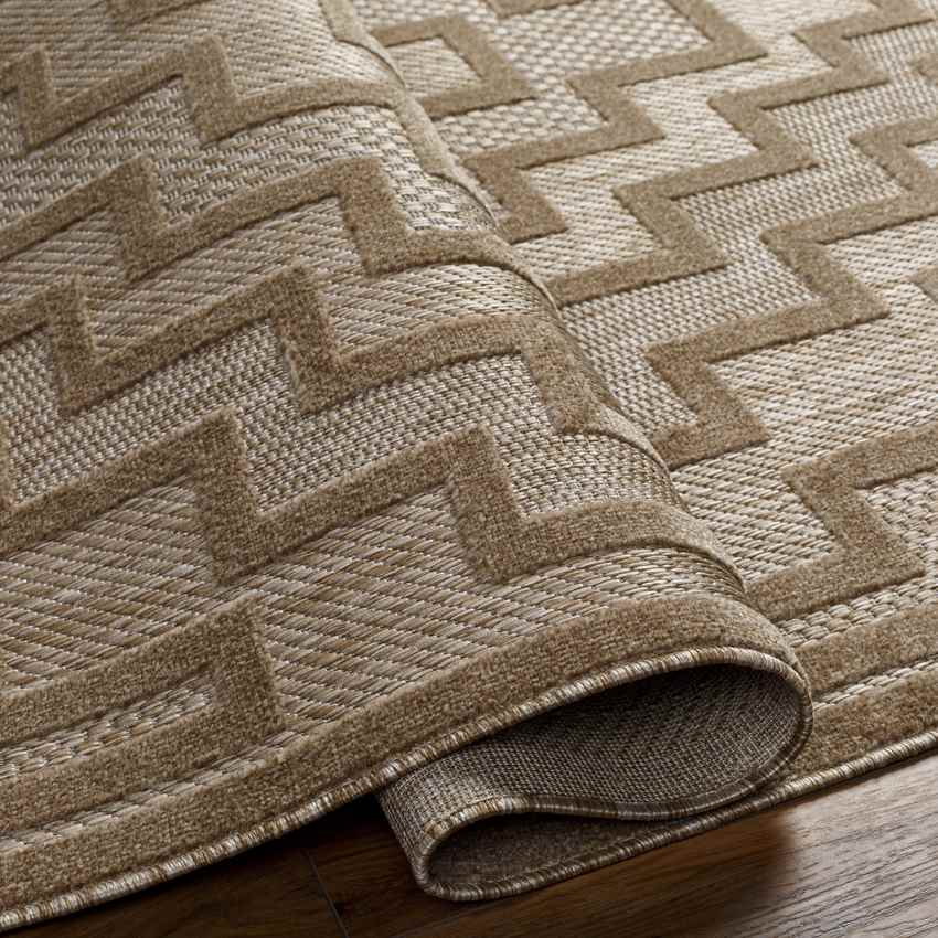 Capel Modern Brown Area Rug