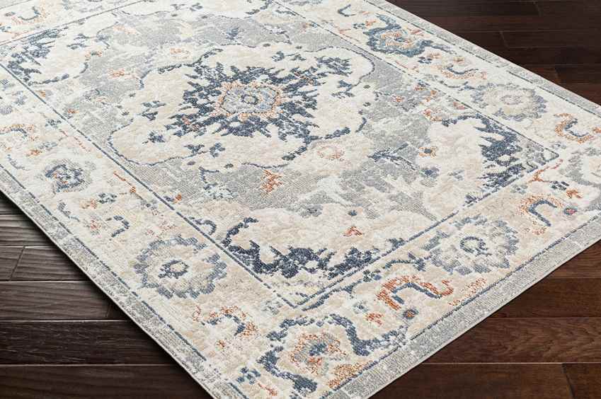 Warfield Traditional Light Gray Washable Area Rug