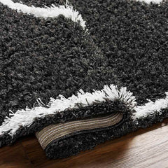 Blaine Modern Black Area Rug