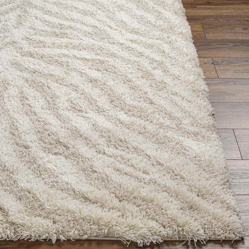 Boomer Modern Light Beige Area Rug