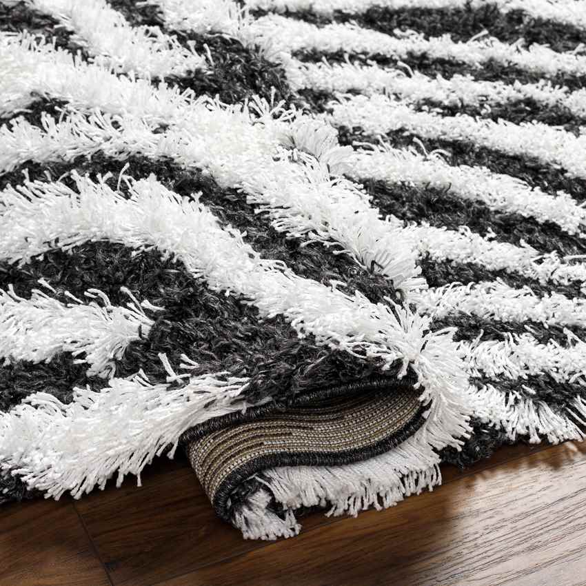 Boomer Modern Black Area Rug