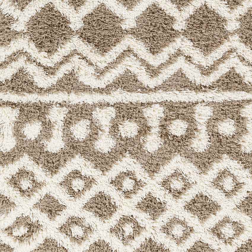 Carter Global Taupe Area Rug