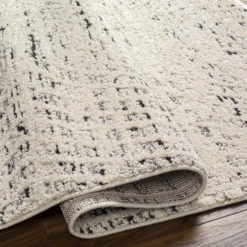 Cloverport Modern Ivory Area Rug